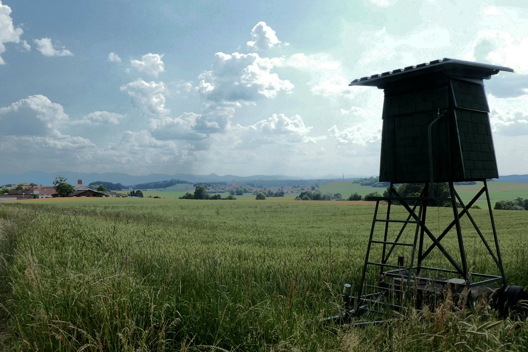 Crescendo im Jagdrevier