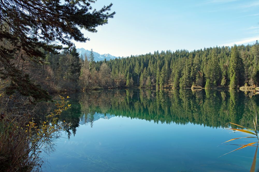 Cresta-See mit Baum Spiegelung (2)