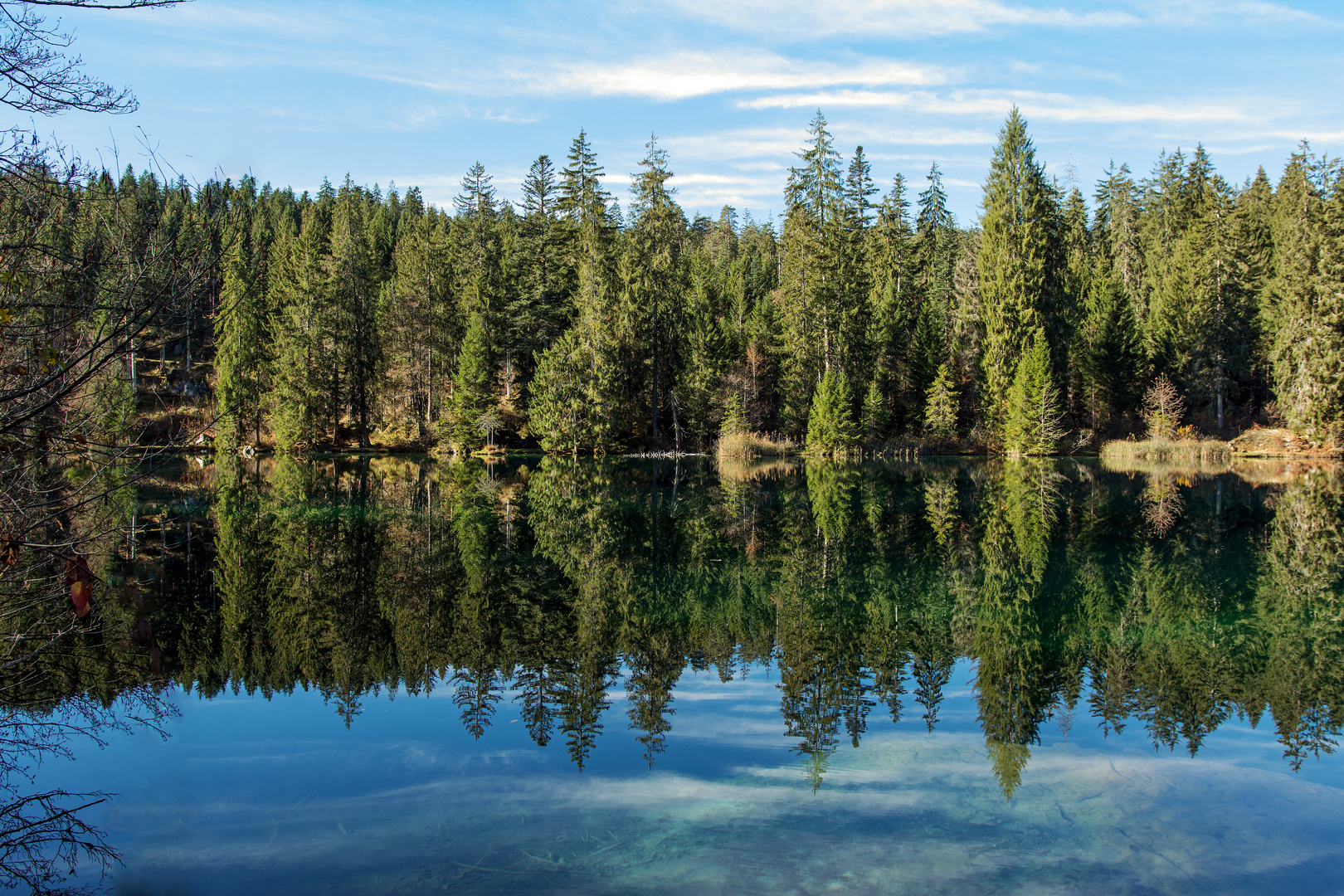 Cresta-See mit Baum Spiegelung (3)