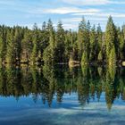 Cresta-See mit Baum Spiegelung (3)