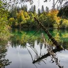 Crestasee mit Baumruinen gespiegelt