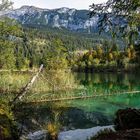 Crestasee mit Baumruinen und Berg