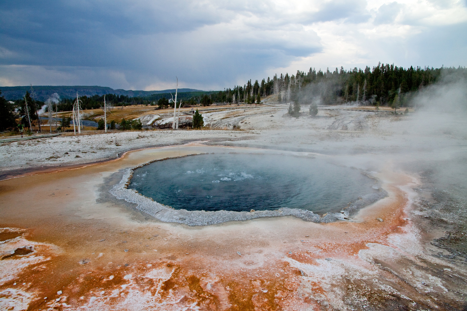 Crested Pool