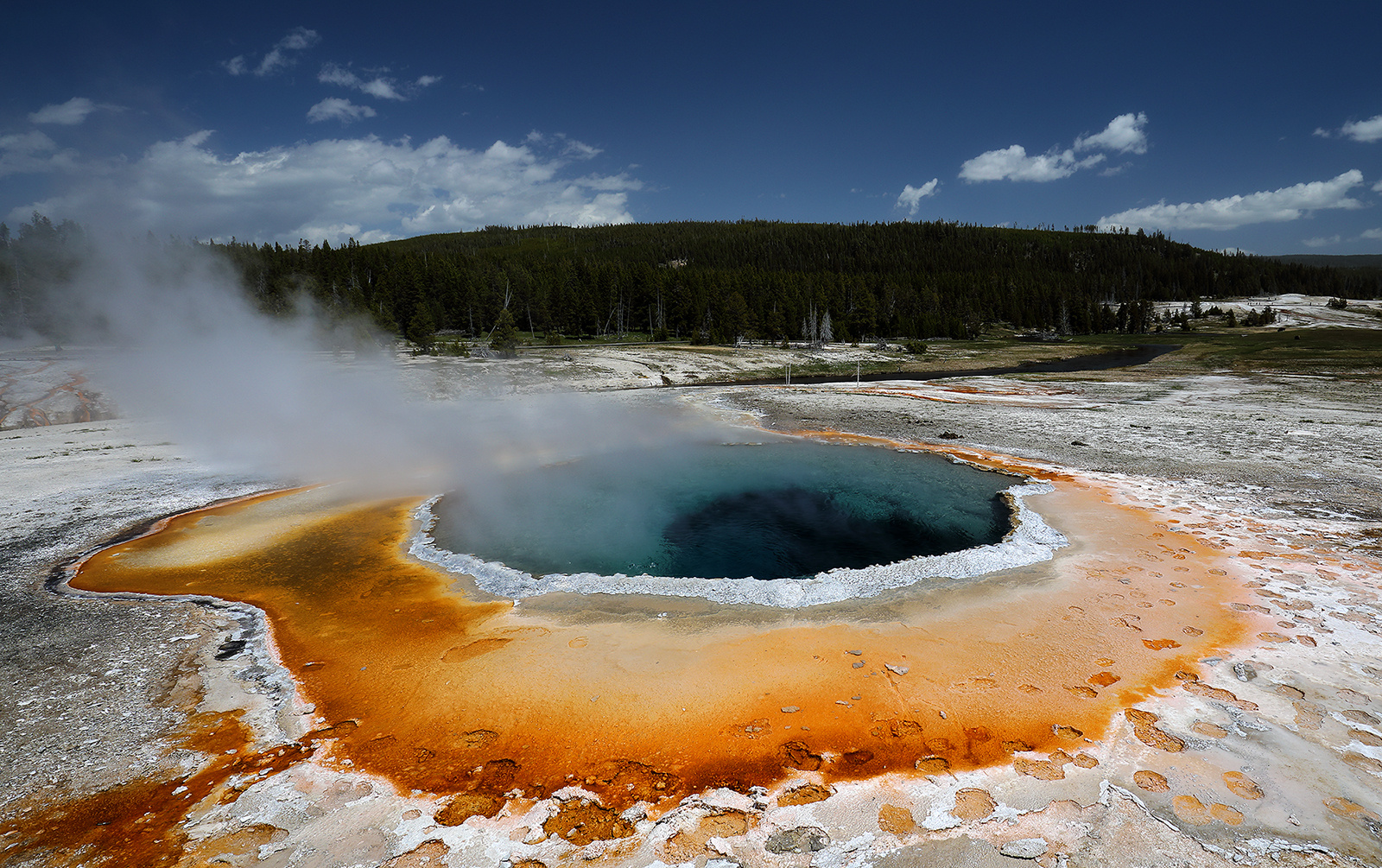 Crested Pool - Yellowstone NP