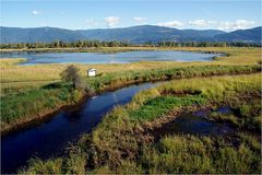 Creston Valley Wildlife Center # 1