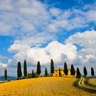 Crete bei Pienza im Herbst