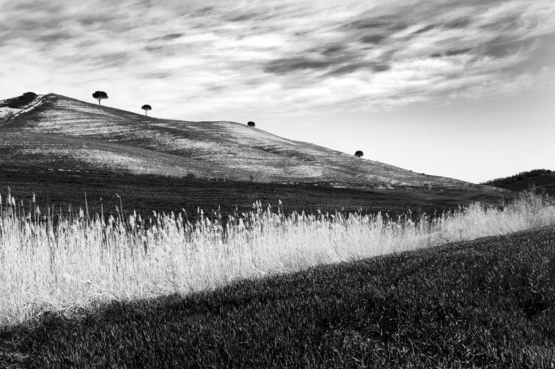 Crete in Bianco e Nero 2