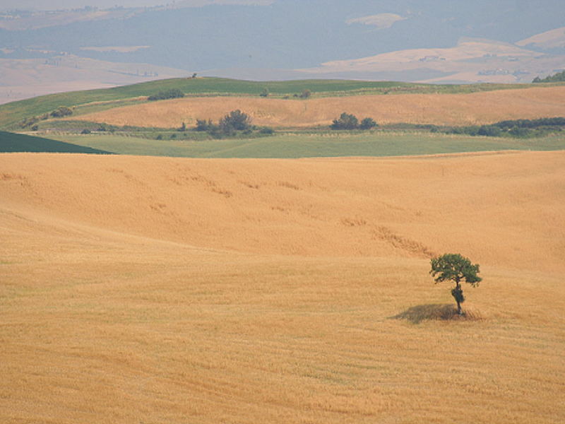 Crete Landschaft