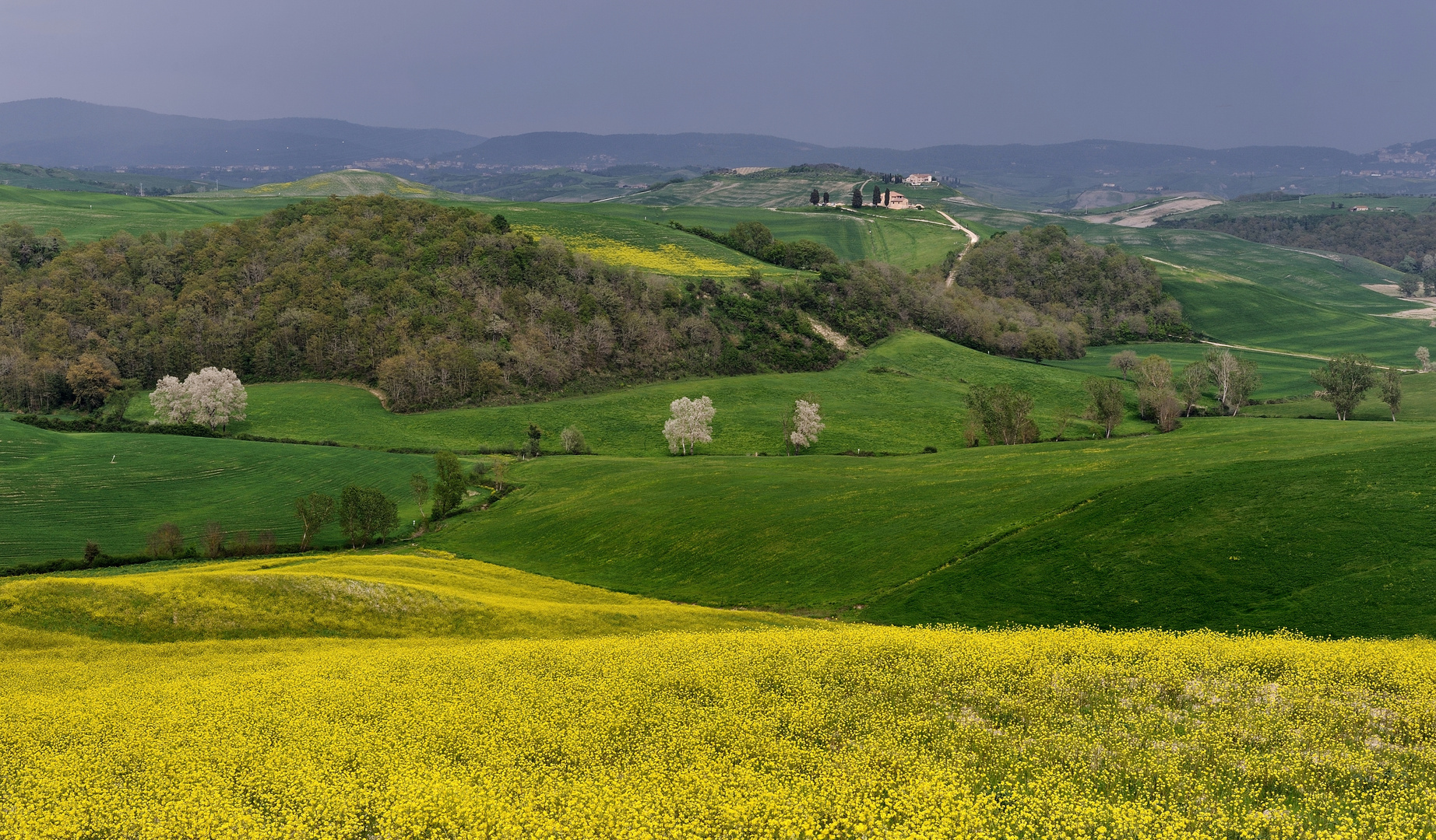 *crete primavera II*