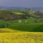 *crete primavera II*