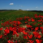 Crete rosso