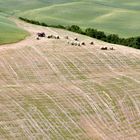 Crete Senesi