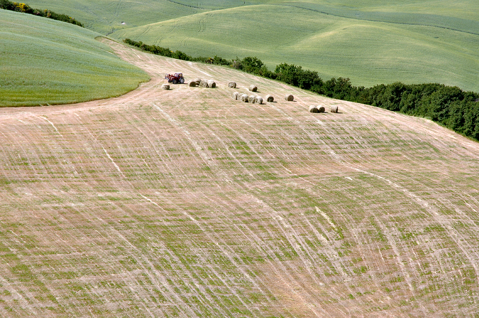 Crete Senesi