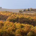 [ … Crete Senesi ]