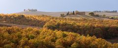 [ … Crete Senesi ]