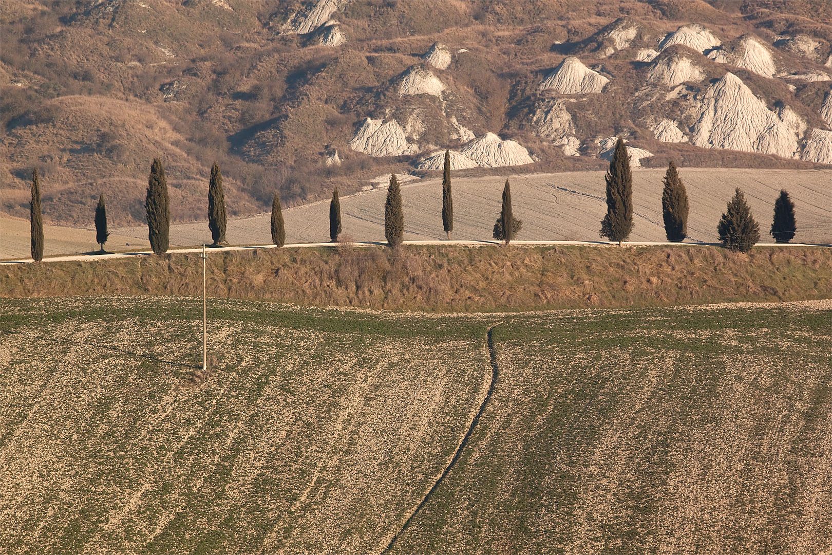 Crete senesi