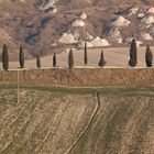 Crete senesi