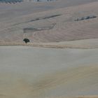 crete senesi