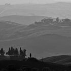 crete senesi 1