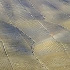 crete senesi 1