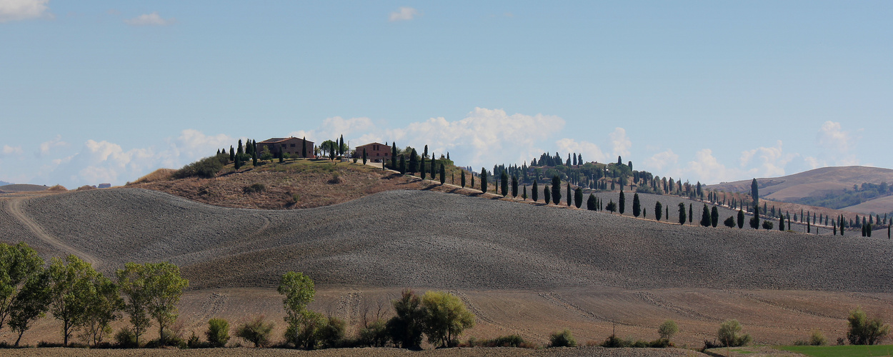 Crete Senesi 1