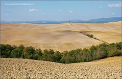 Crete senesi