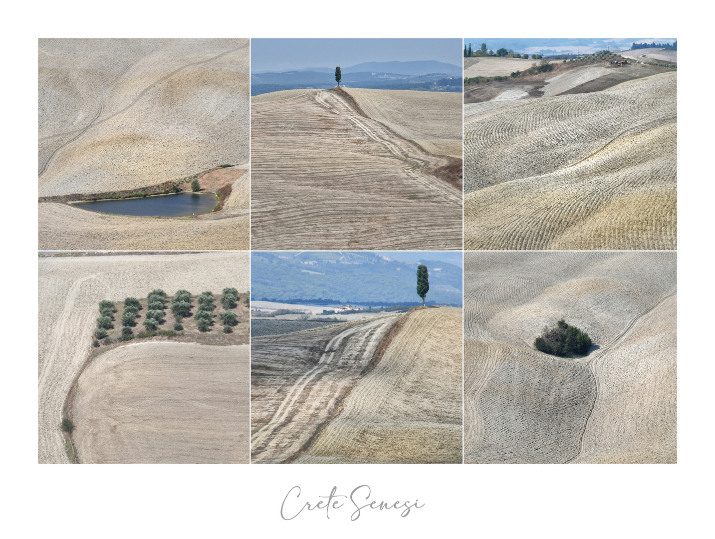 crete senesi