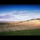 crete senesi