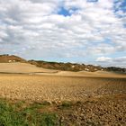 Crete Senesi