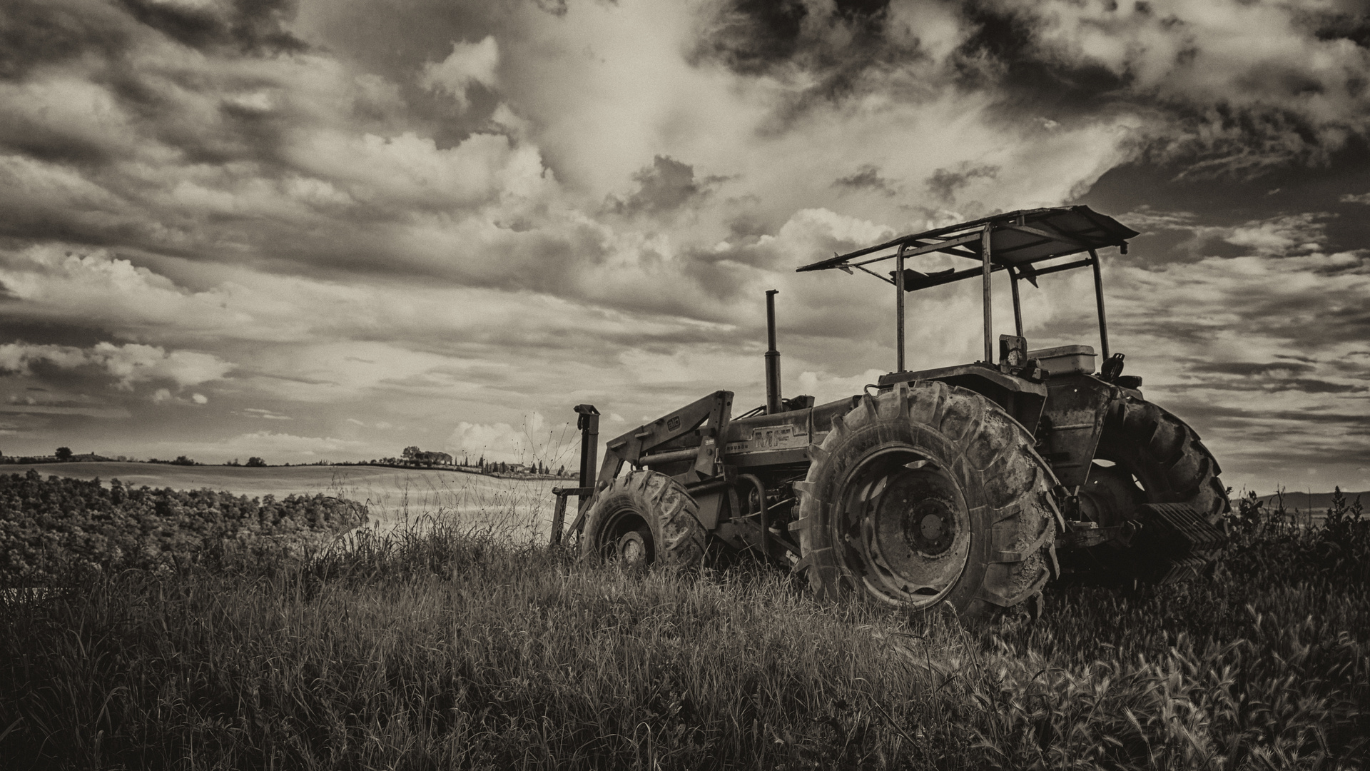 Crete Senesi