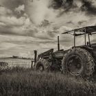 Crete Senesi