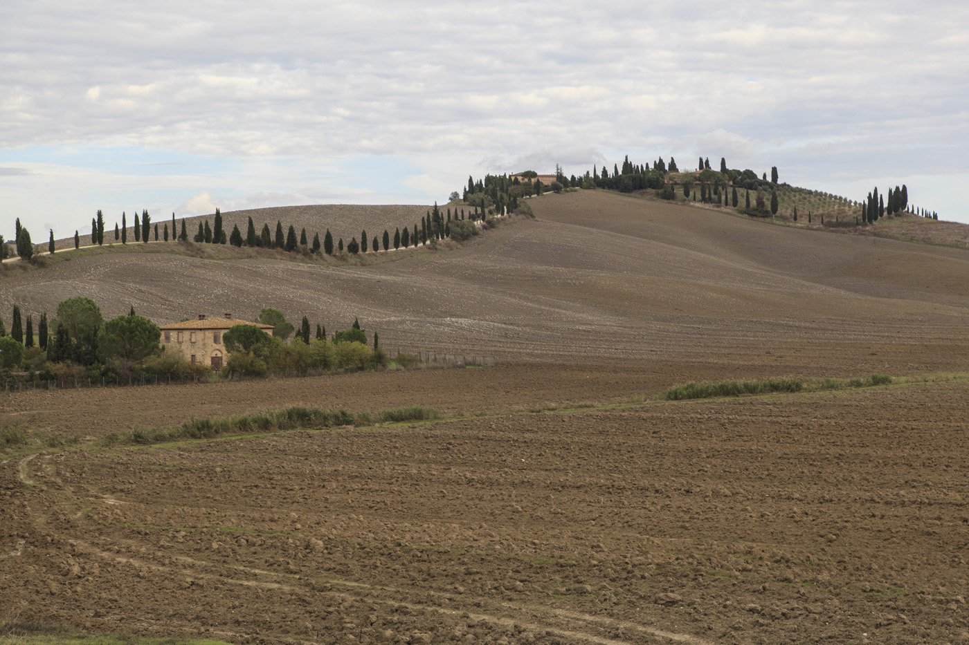 Crete senesi 2