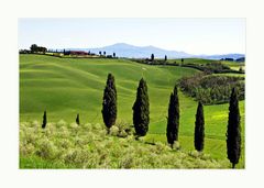 Crete Senesi 2