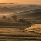 Crete Senesi 2