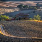 Crete senesi 2