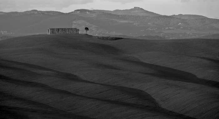 crete senesi 3