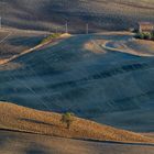 Crete senesi 3