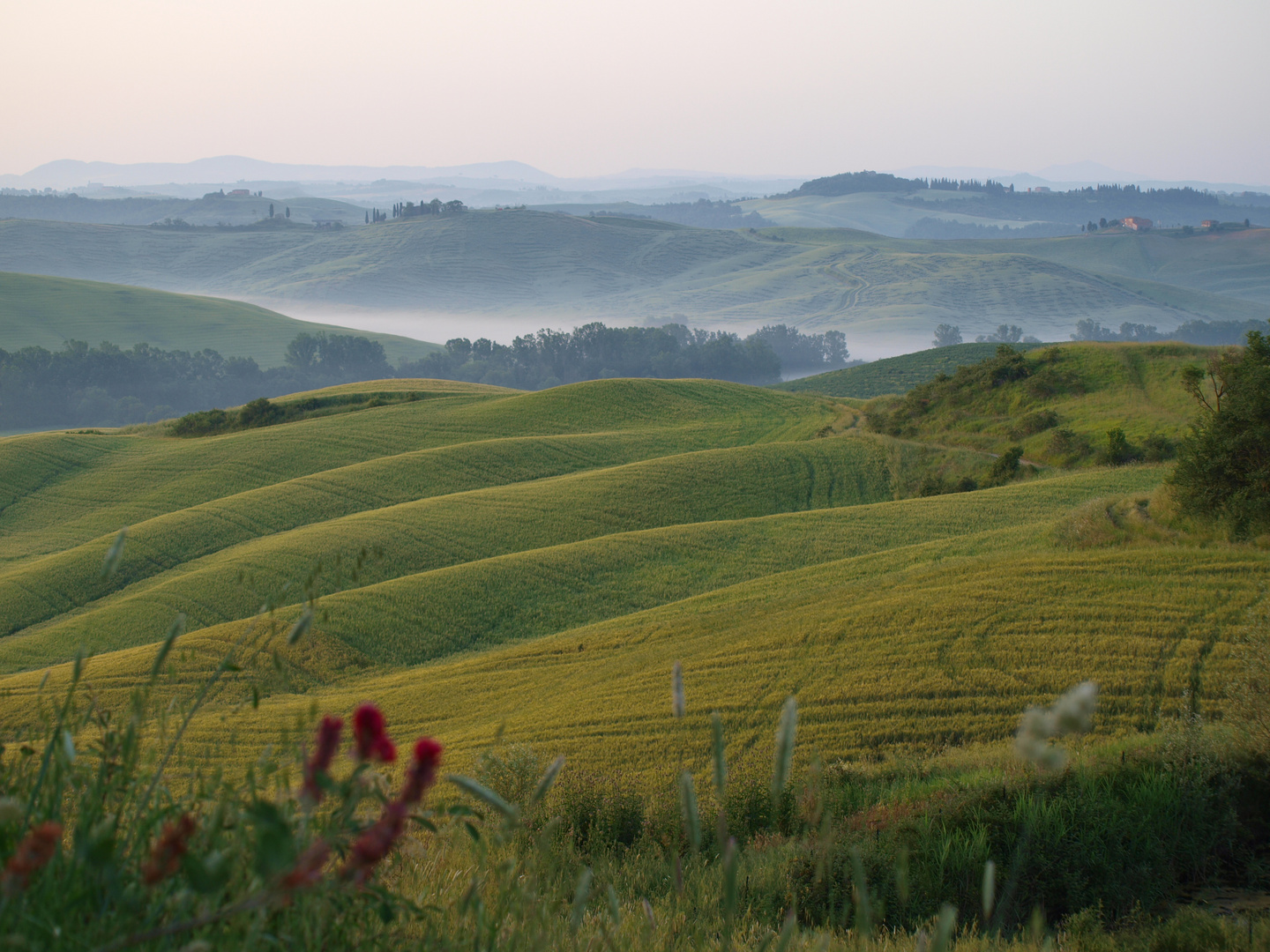 Crete Senesi