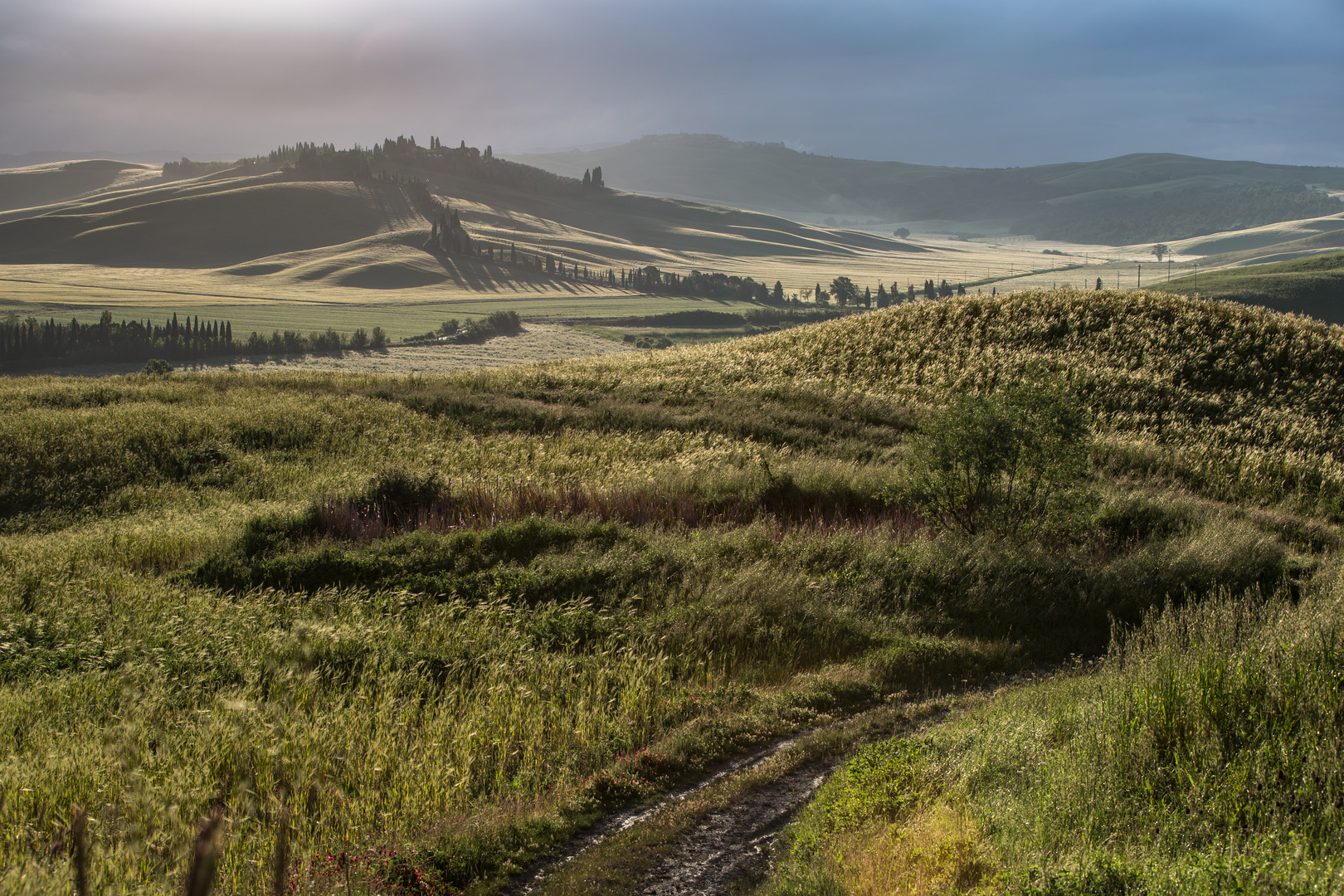 Crete Senesi 4