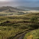 Crete Senesi 4