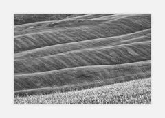 Crete Senesi 4