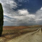 Crete Senesi