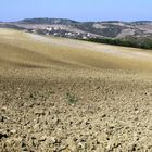 Crete senesi