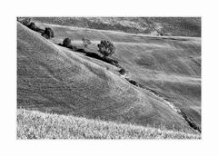 Crete Senesi 5