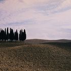 Crete Senesi 5