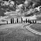 Crete Senesi