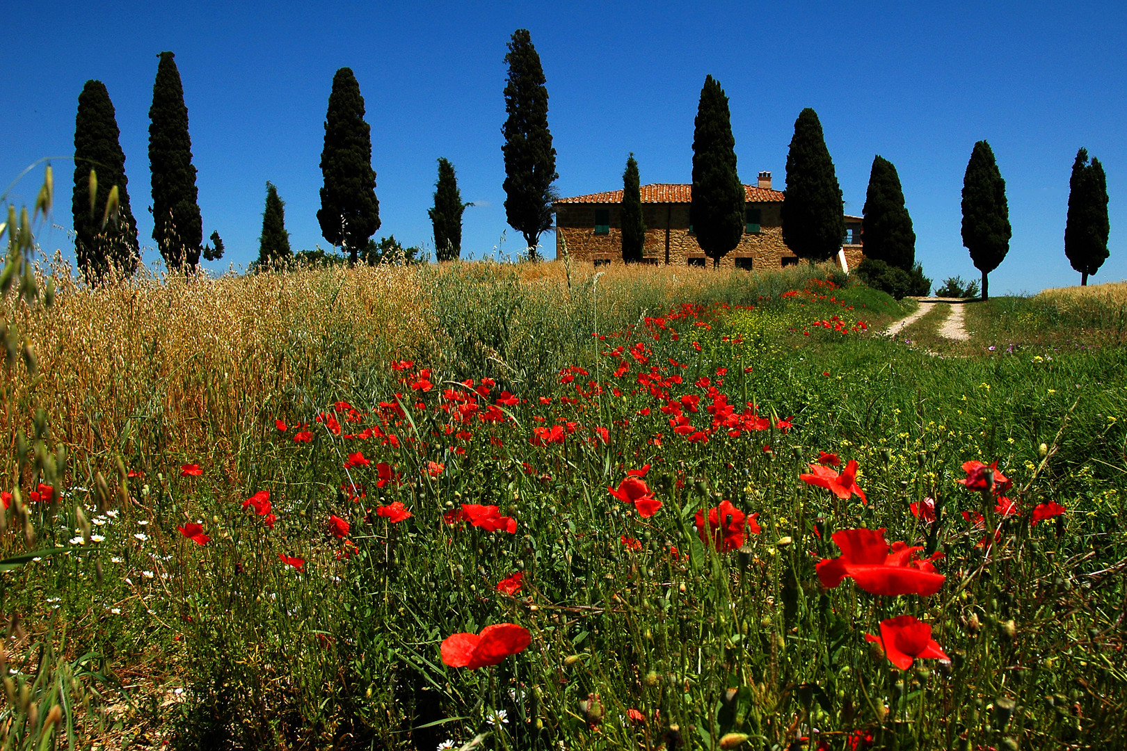 Crete Senesi