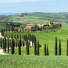 Crete senesi