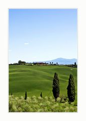 Crete Senesi 6