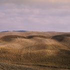 Crete Senesi 6